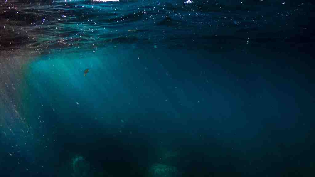 تشخیص و درمان ترس از اقیانوس | فوبیای موج و دریاچه