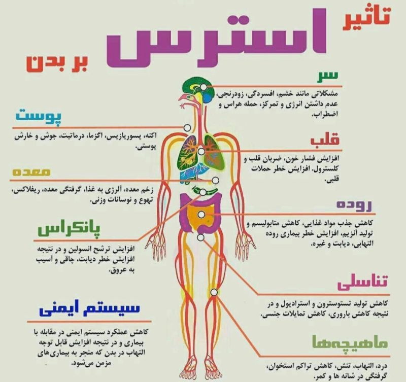 عوارض اضطراب و استرس بر بدن